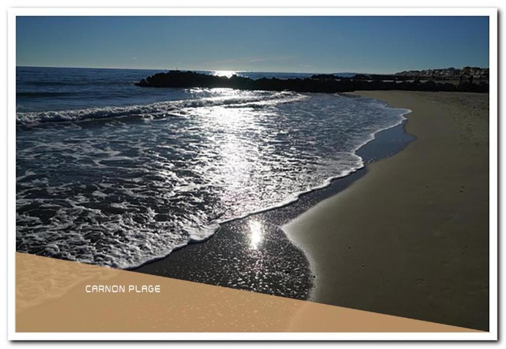 Appartement T2 - Golf De Fontcaude - Residence Cote Green A Juvignac 34990 外观 照片